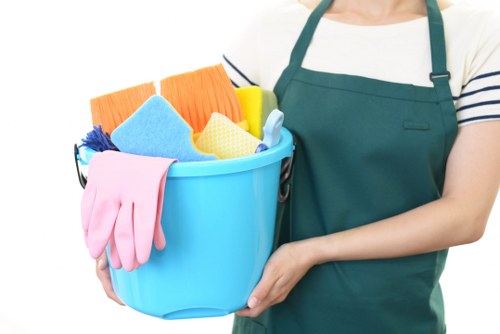 Professional Earls Court carpet cleaners preparing a carpet cleaning service