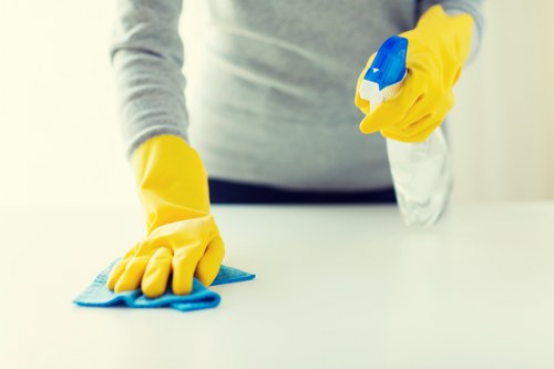Carpet and upholstery stain cleaning services in Earls Court
