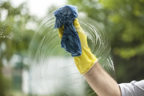 Professional hot water extraction carpet cleaning equipment in Earls Court