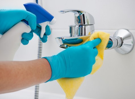 Carpet spot cleaning for pet accidents in a London flat