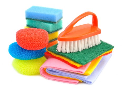 Professional pet stain cleaning on upholstery